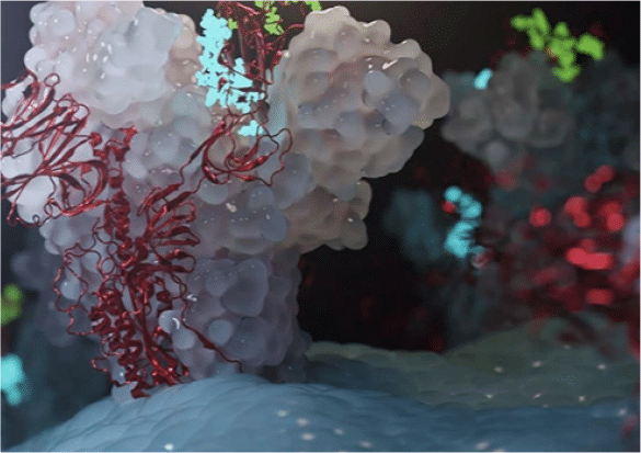 NVIDIA Líder em Computação