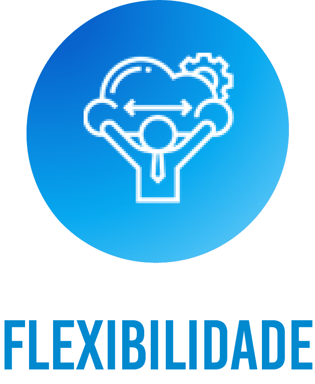 flexibilidade flexibilidade